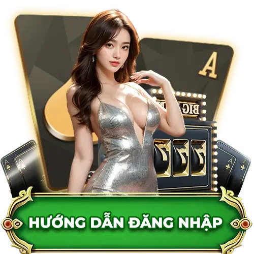 Hướng dẫn đăng nhập Fanvip